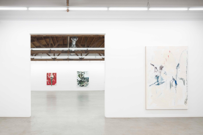 Image for Rosy Keyser: ARP 273, at parrasch heijnen