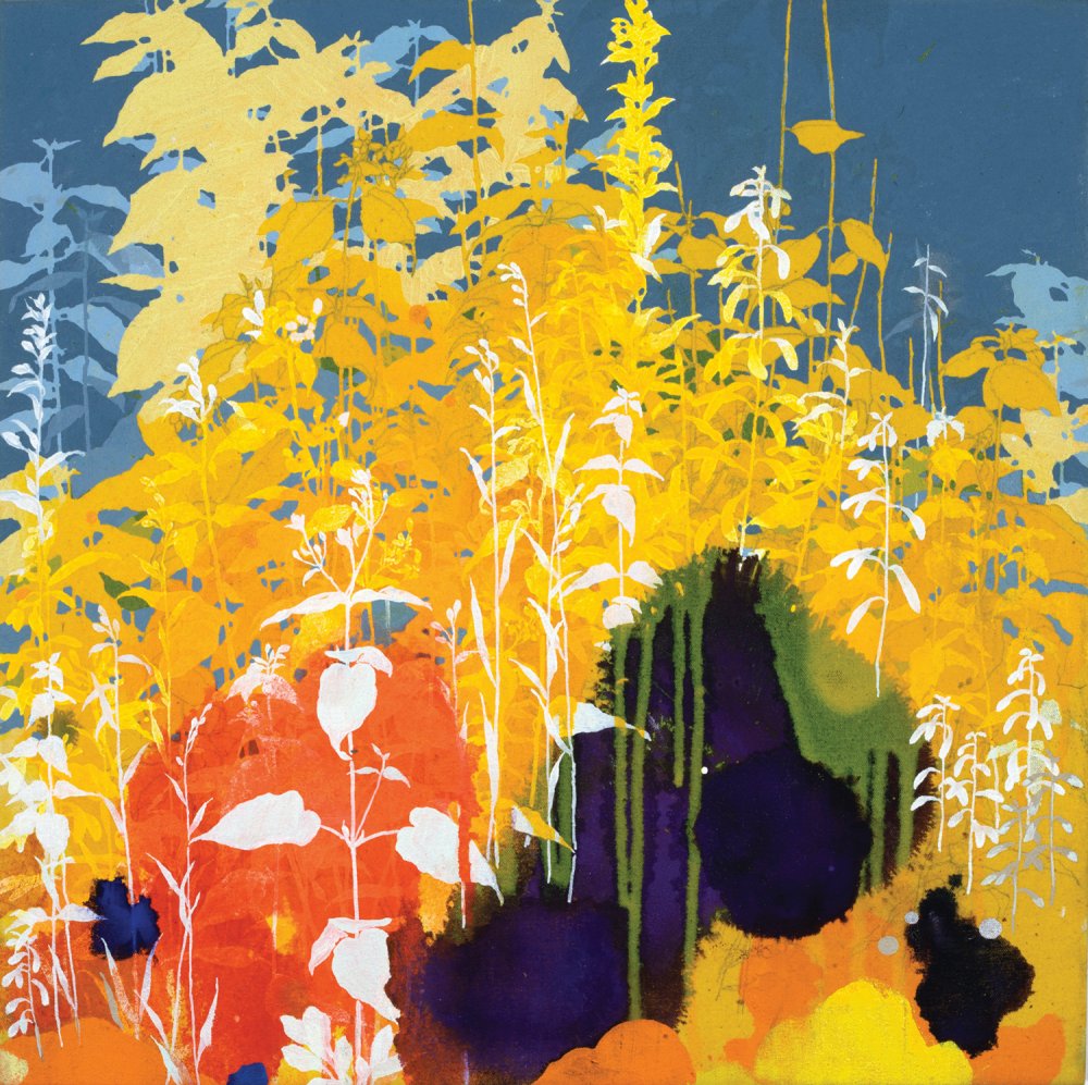 Henrik Simonsen, Yellow and Blue Plant