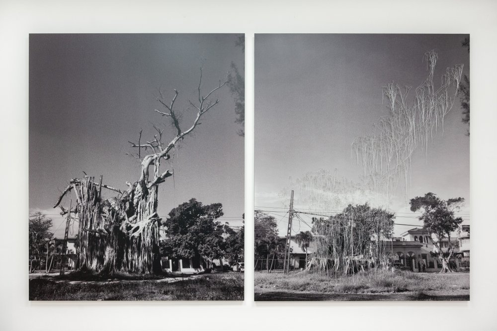 Carlos Garaicoa, Sin título (Árbol) / Untitled (Tree), 2021
