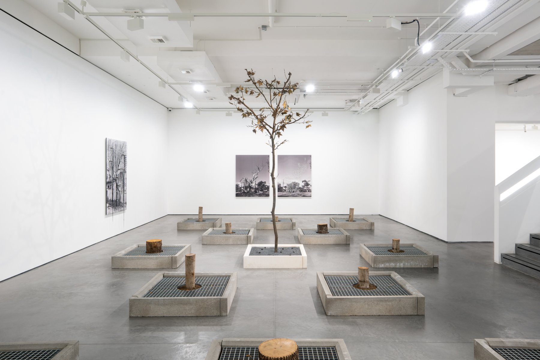 Image for Carlos Garaicoa: Scratched Surfaces, as Diamond against Crystal, at Goodman Gallery