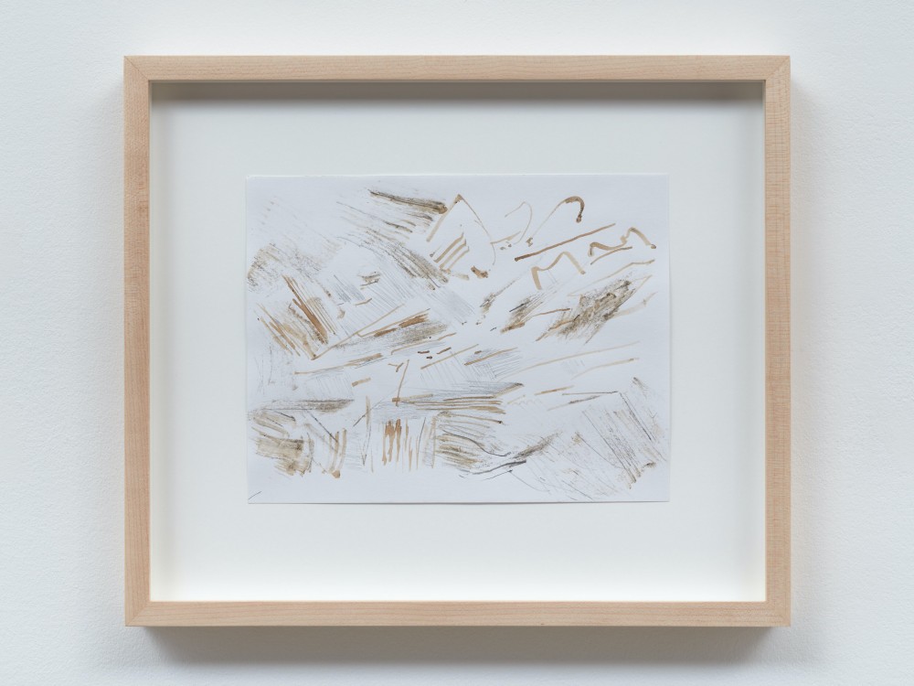 Gustav Metzger, Untitled (Late Nature Drawing), 2002-2003