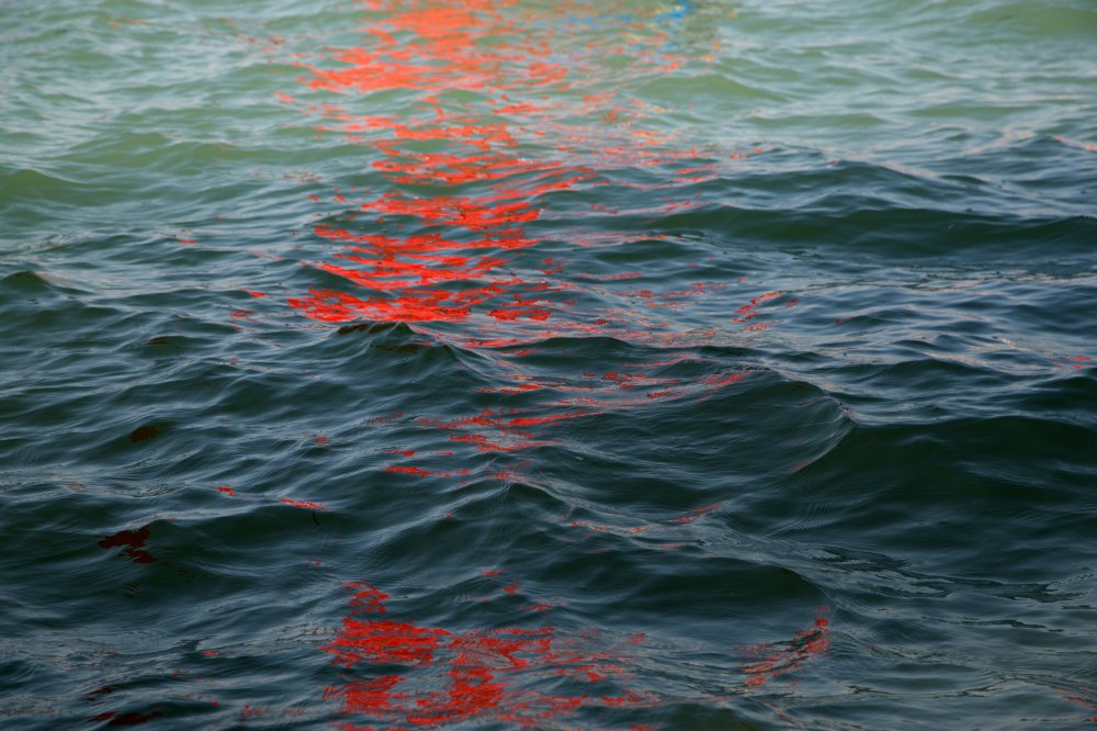 Melissa McGill, Riflessi (Red Regatta - 1 September 2019) - 3, 2019