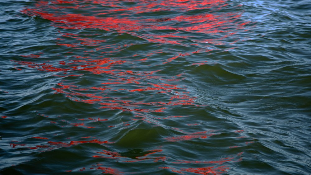 Melissa McGill, Riflessi (Red Regatta - 15 September 2019) - 2, 2019