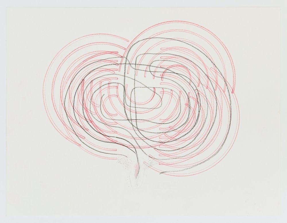 Ana Prvački, Untitled, 2017