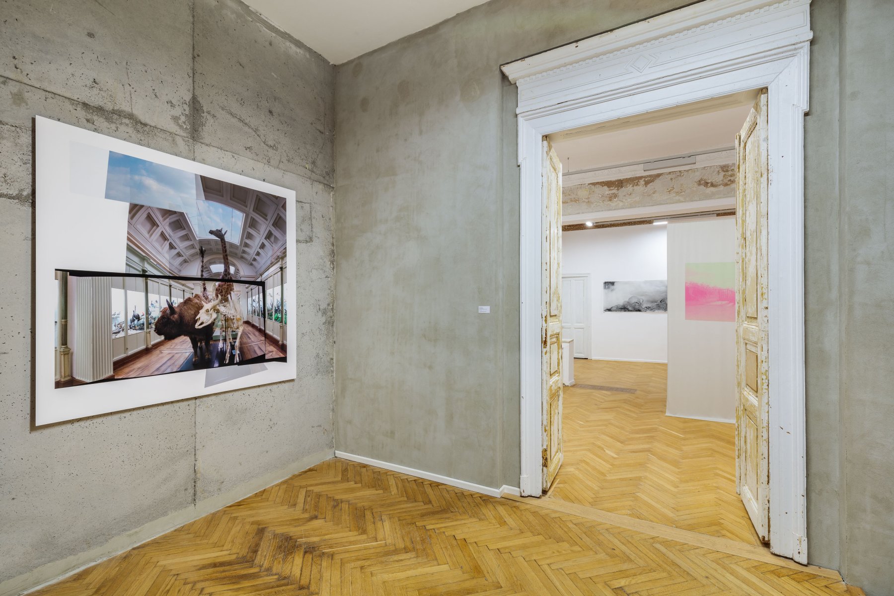 Image for Image fantôme, at Anca Poterașu Gallery