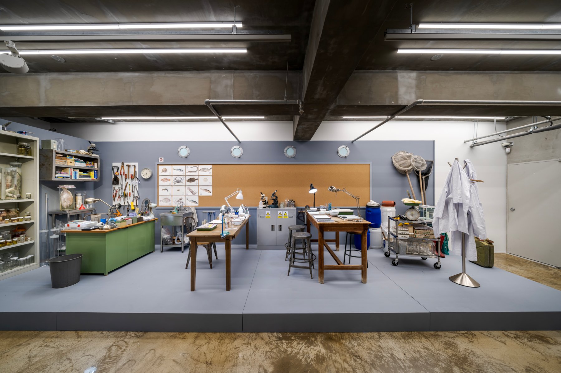 Image for Mark Dion: The Sea Life of South Korea and Other Curious Tales, at Barakat Contemporary