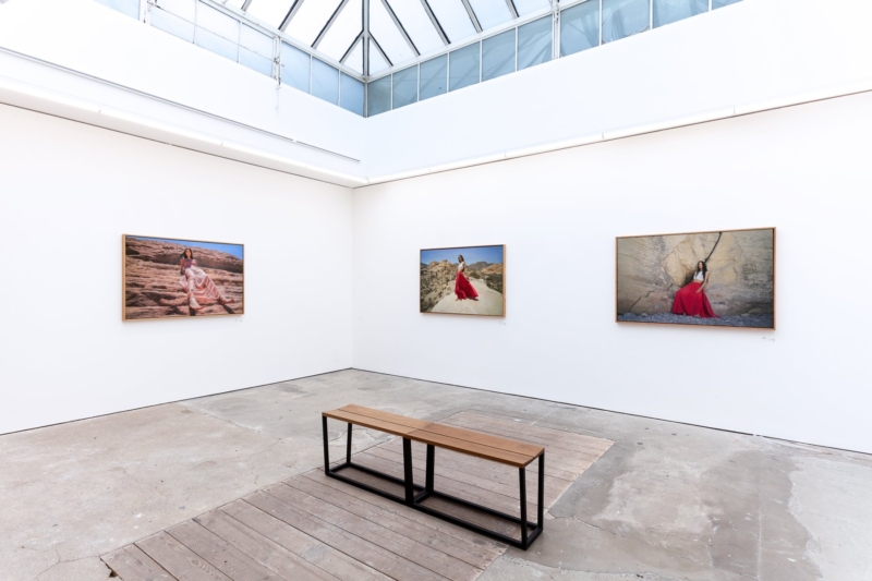 Image for Yigal Ozeri: Flowers in the Desert, at Pontone Gallery