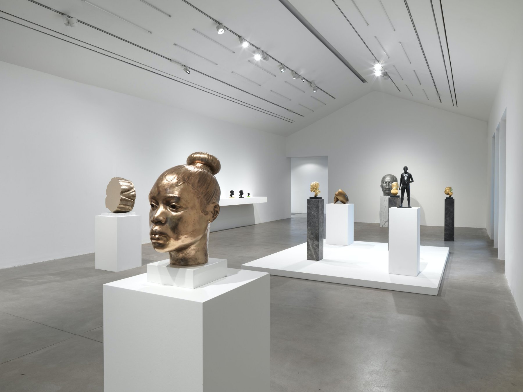 Image for Thomas J Price. Thoughts Unseen, at Hauser & Wirth Somerset