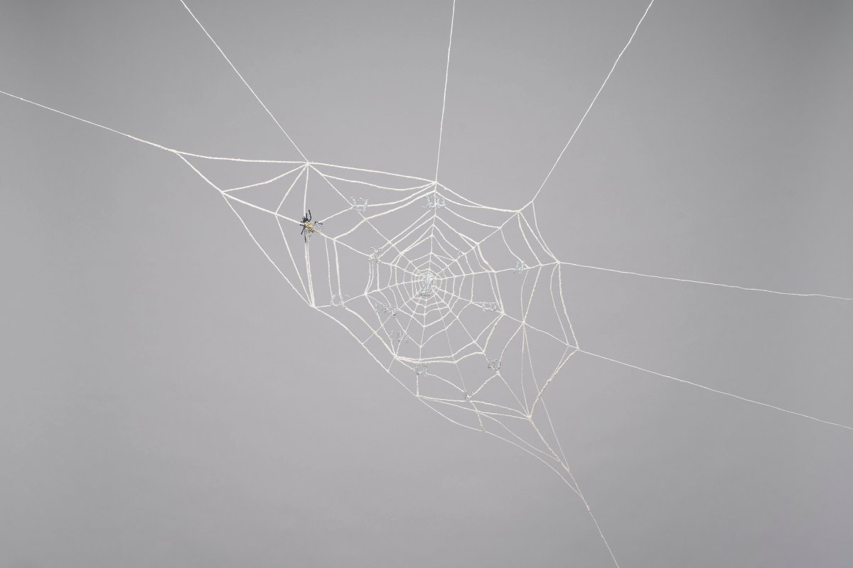 Julie Béna, Spider web, Chronos (The Clock and the Spider), 2021