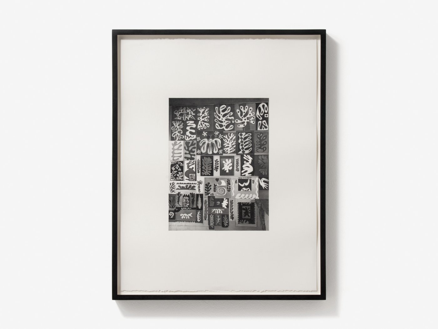 Dan Fischer, Matisse “Cut-Outs” Wall, 2020-2021