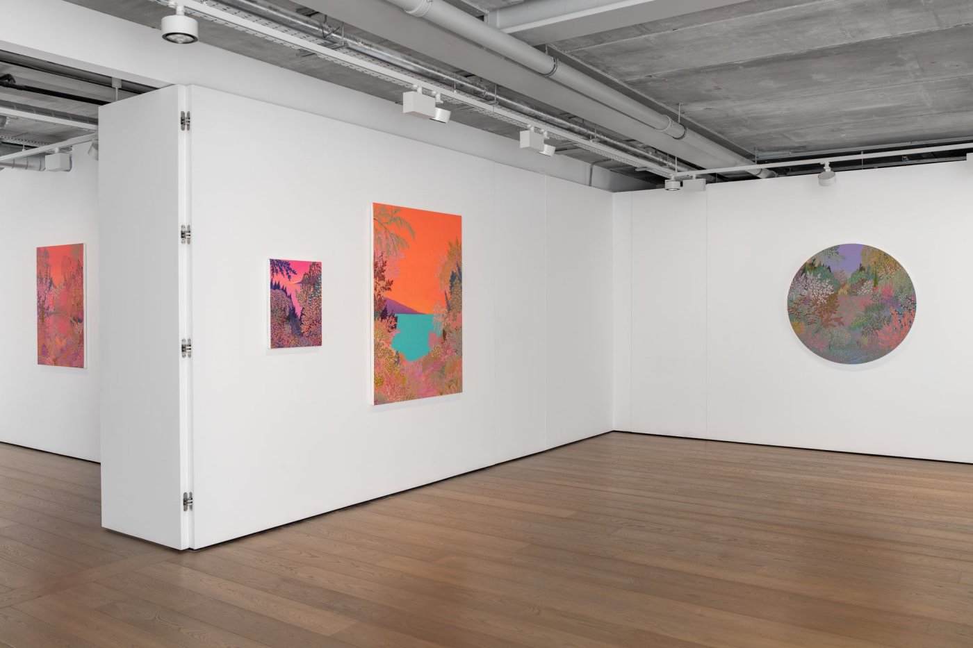 Installation image for John McAllister: some rhapsodies radiant, at Almine Rech