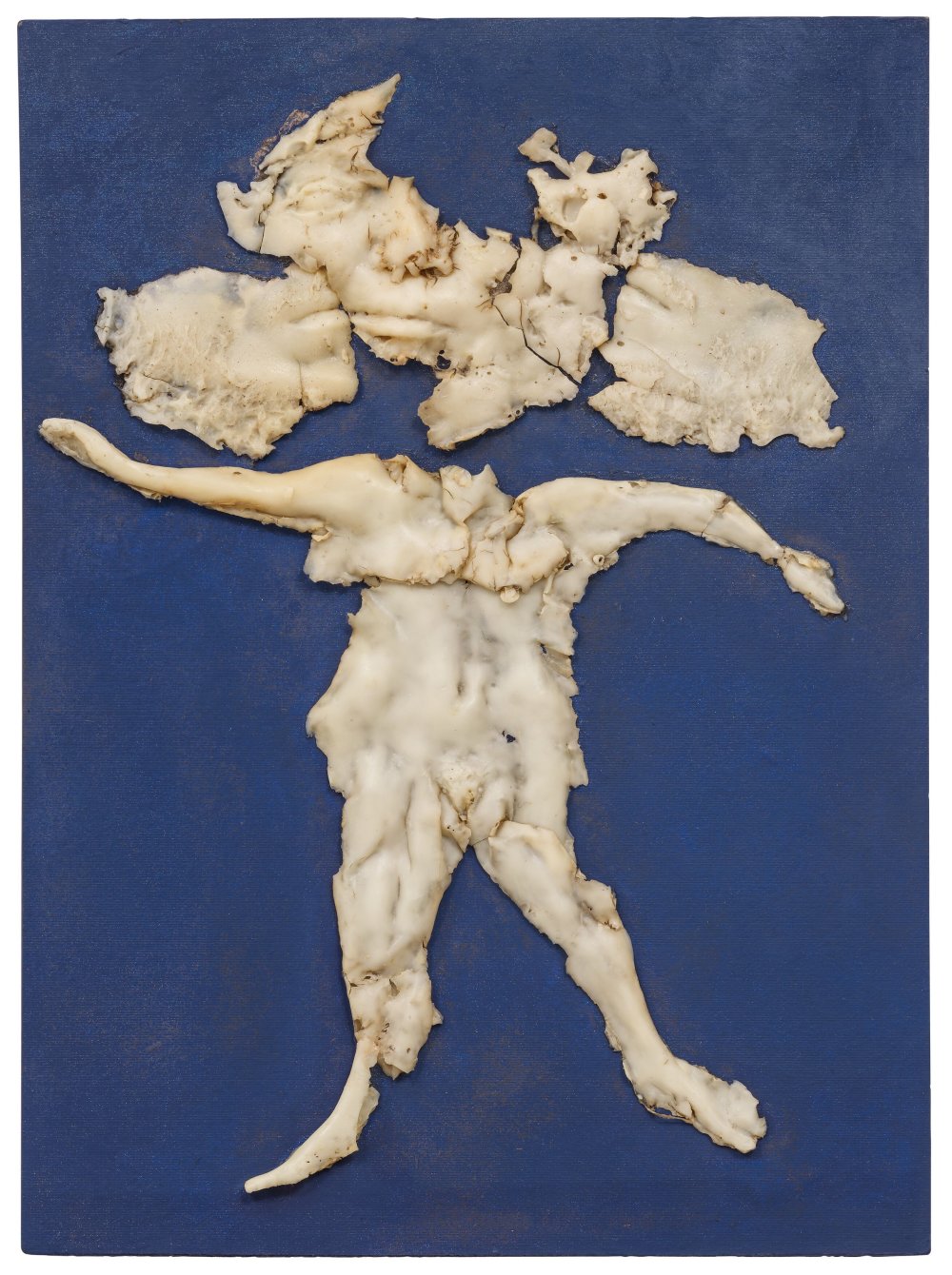 Alina Szapocznikow, Herbier bleu I (Blue Herbarium I), 1972