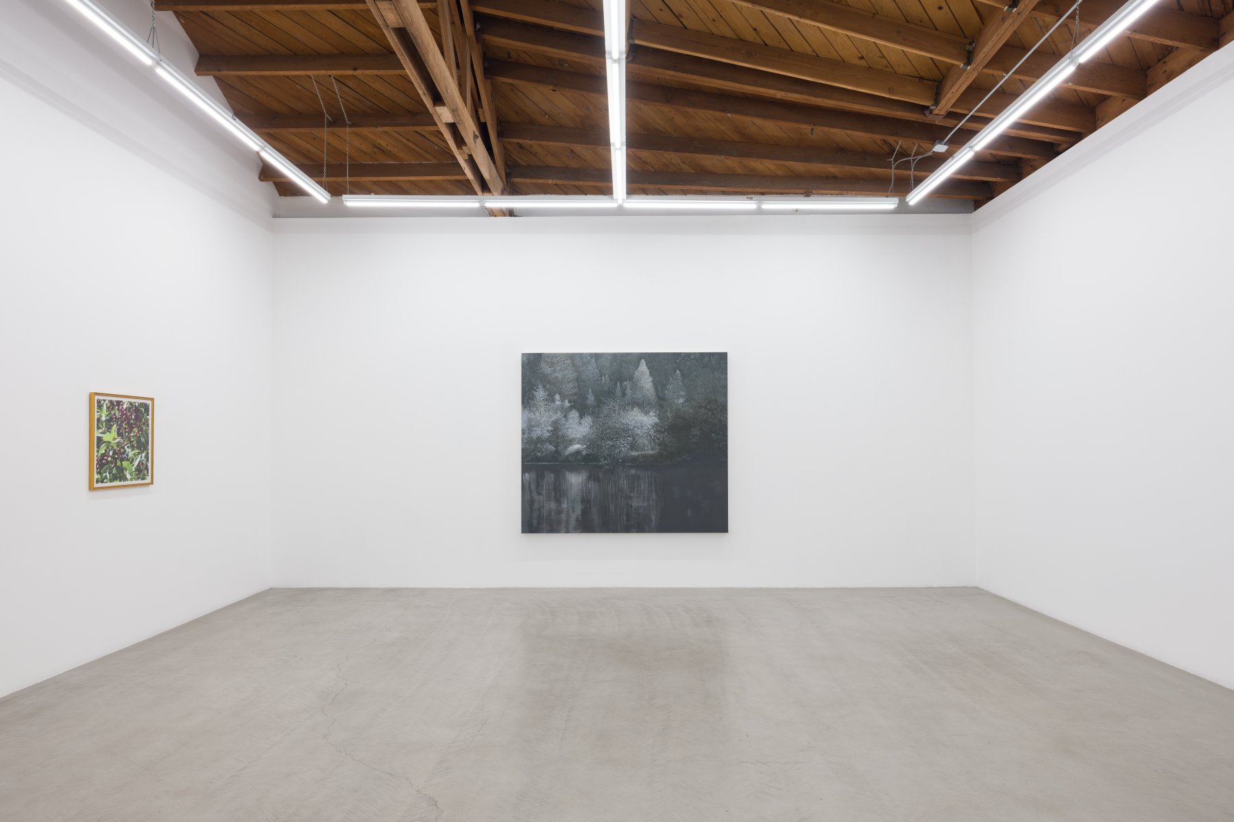 Image for Anne Appleby: A Hymn for the Mother, at parrasch heijnen