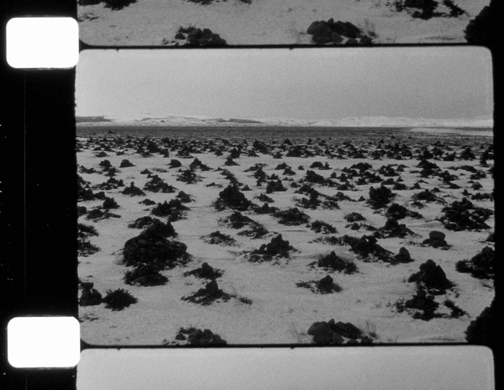 Poulomi Basu, from Fireflies, 2019 - ongoing