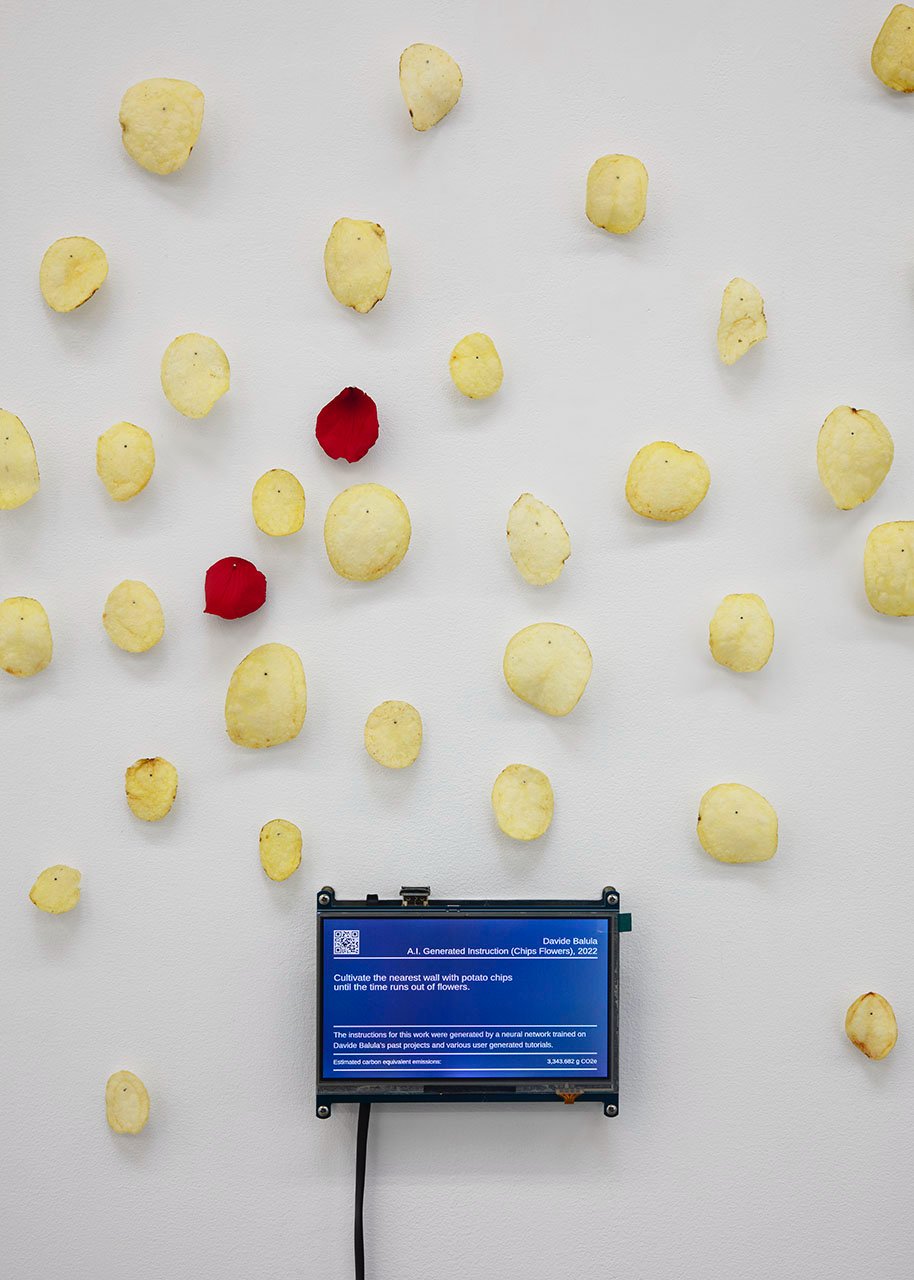 A.I. Generated Instructions (Potato Flowers)