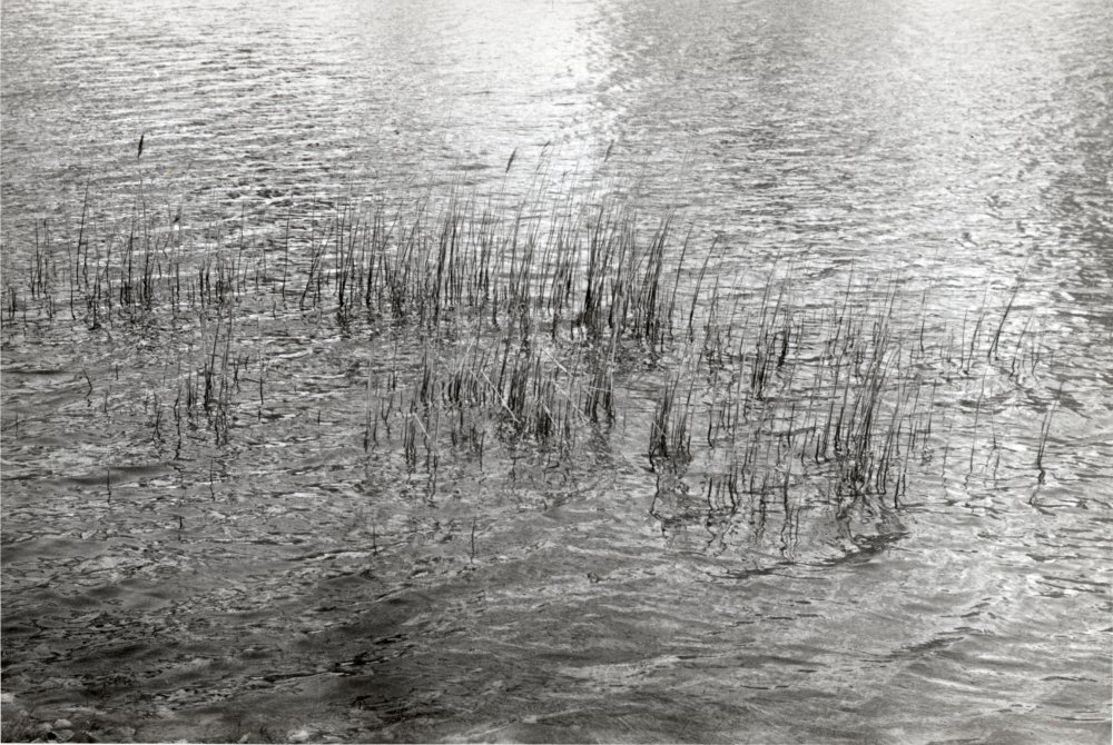 Hans Hartung, Les Baux, 1959