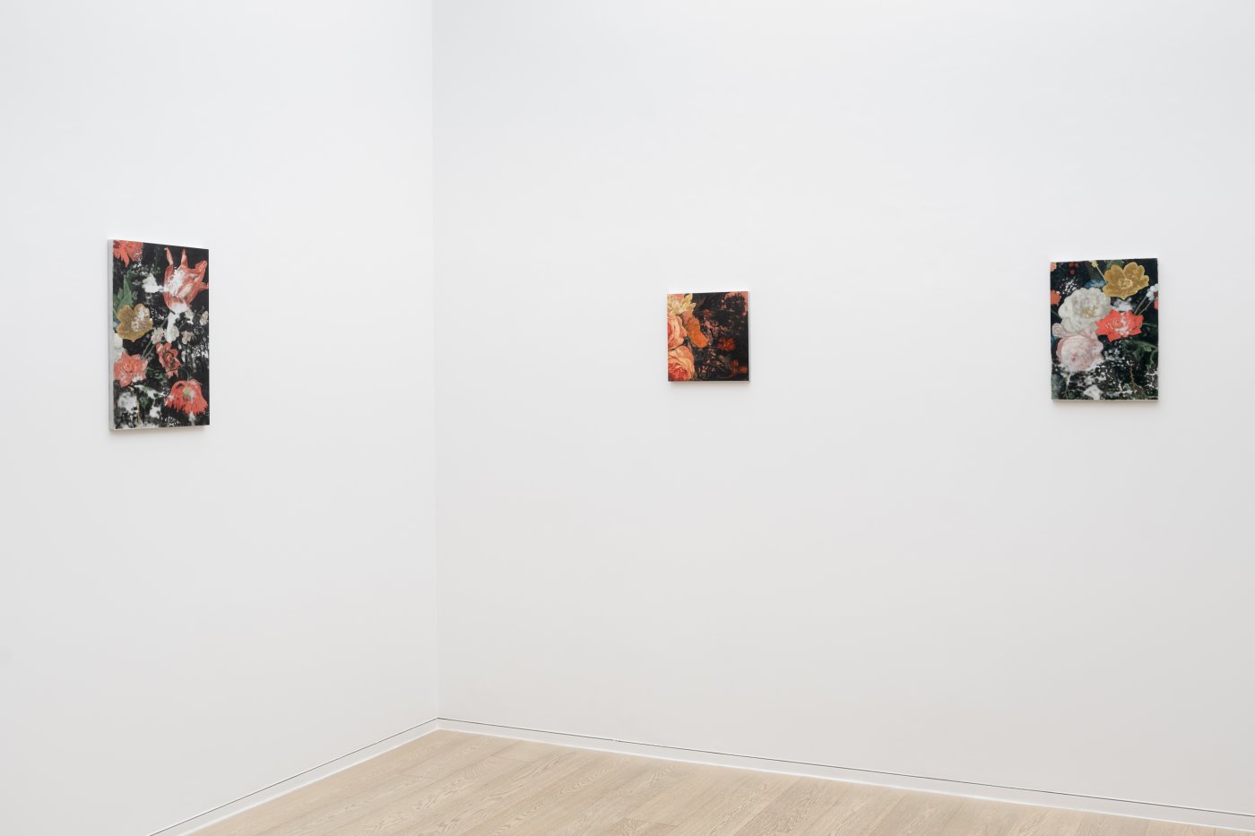 Installation image for Toby Ziegler: Pronk, at Simon Lee Gallery
