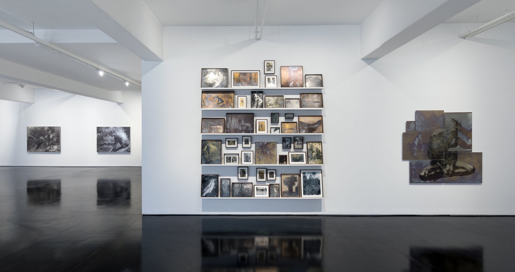 Image for Danie Mellor: redux, at Tolarno Galleries