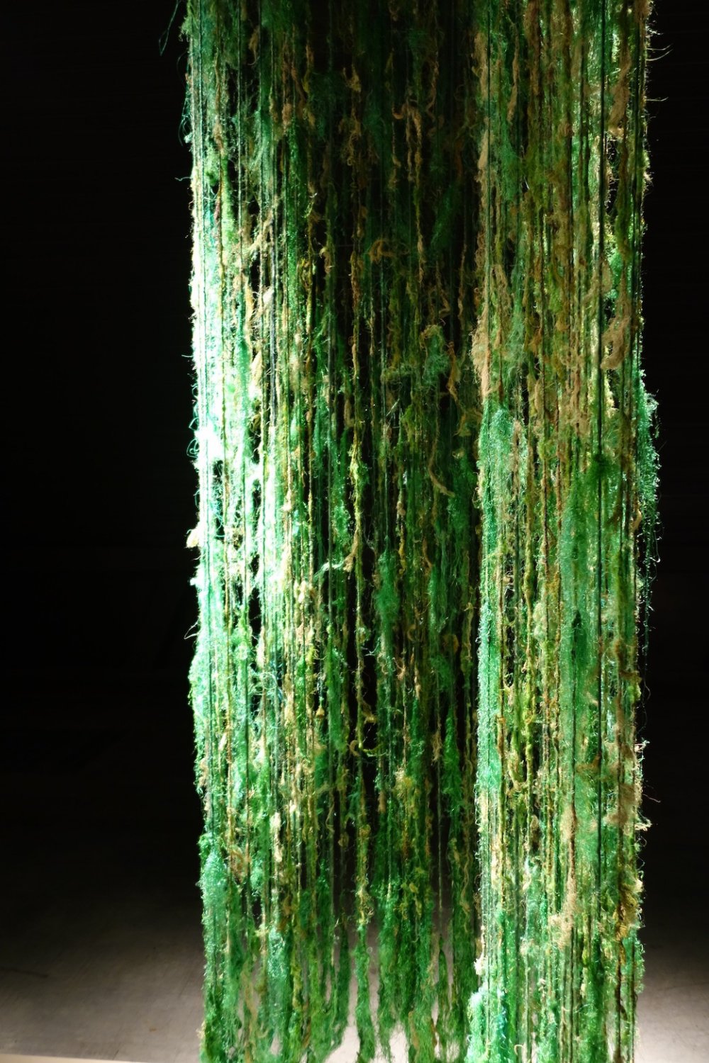 Gjertrud Hals, Usnea, 2010