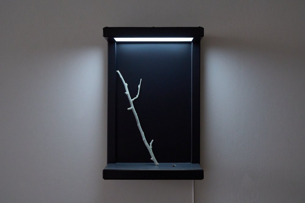 Victor Lim Seaward, Victor Lim Seaward, Victor Lim Seaward, Victor Lim Seaward & Victor Lim Seaward, Vanitas IV, 2022