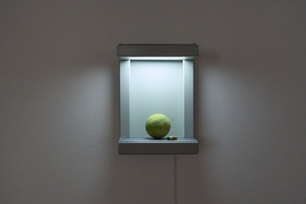 Victor Lim Seaward, Vanitas VII, 2022
