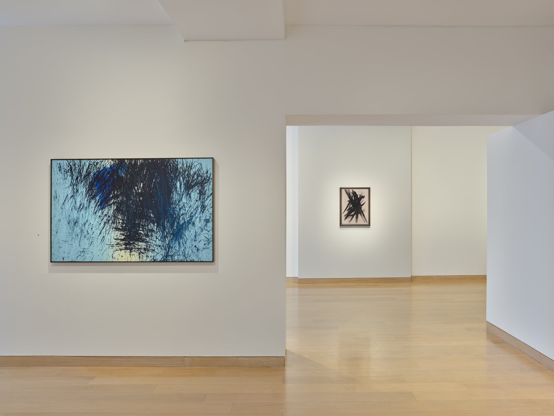 Image for Hans Hartung: Painter, Photographer, at Waddington Custot