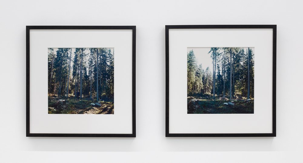 Bas Jan Ader, Untitled (Swedish Fall), 1971 / 2003