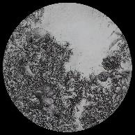 Reef Hsu, Reef Hsu & Reef Hsu, Symbiosis 共生-2, 2014