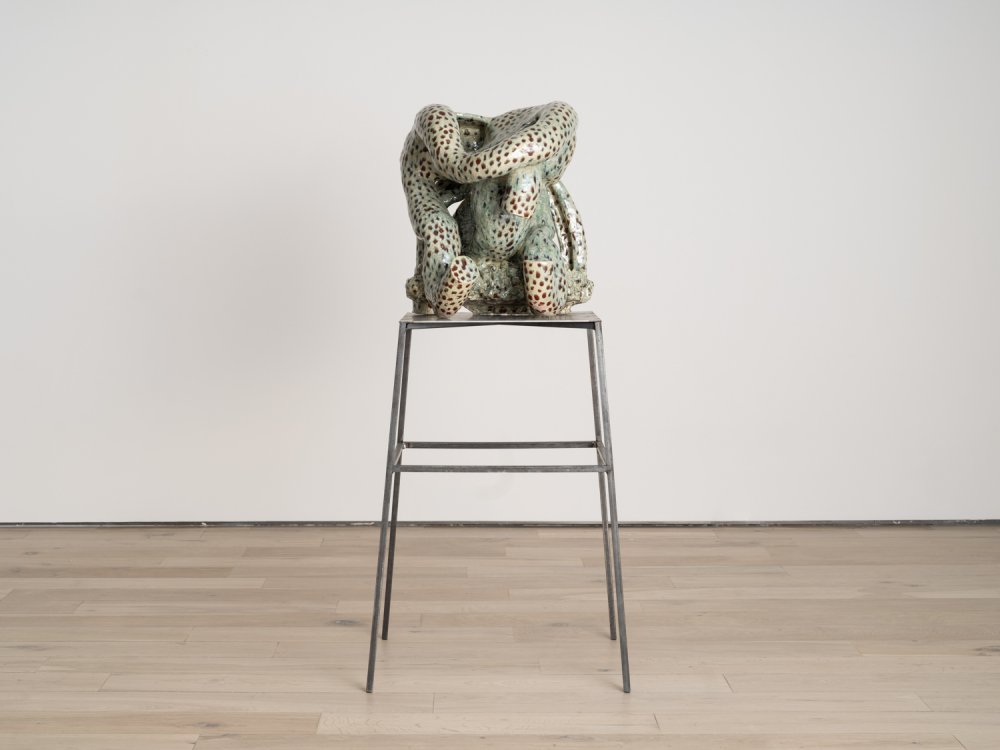 Pernille Pontoppidan Pedersen, Donna's octopuskin (tentacular thinking), 2022