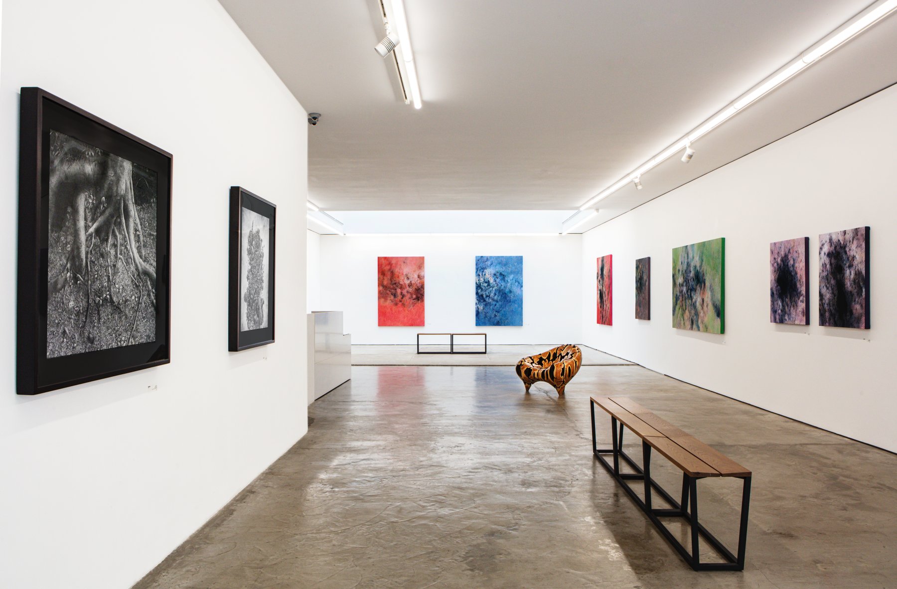 Image for Reef Hsu: A Forest Seen From Space, at Pontone Gallery