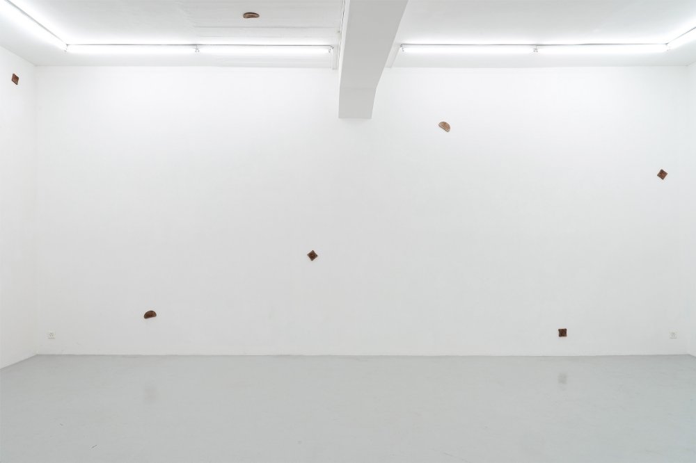 Benedikte Bjerre, Starry Night, 2022