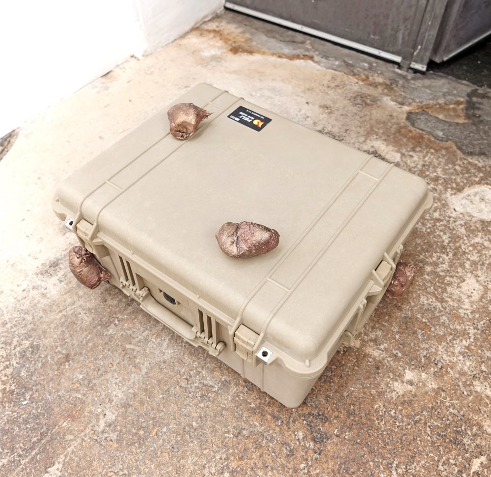 Benedikte Bjerre, Done Thing, 2022