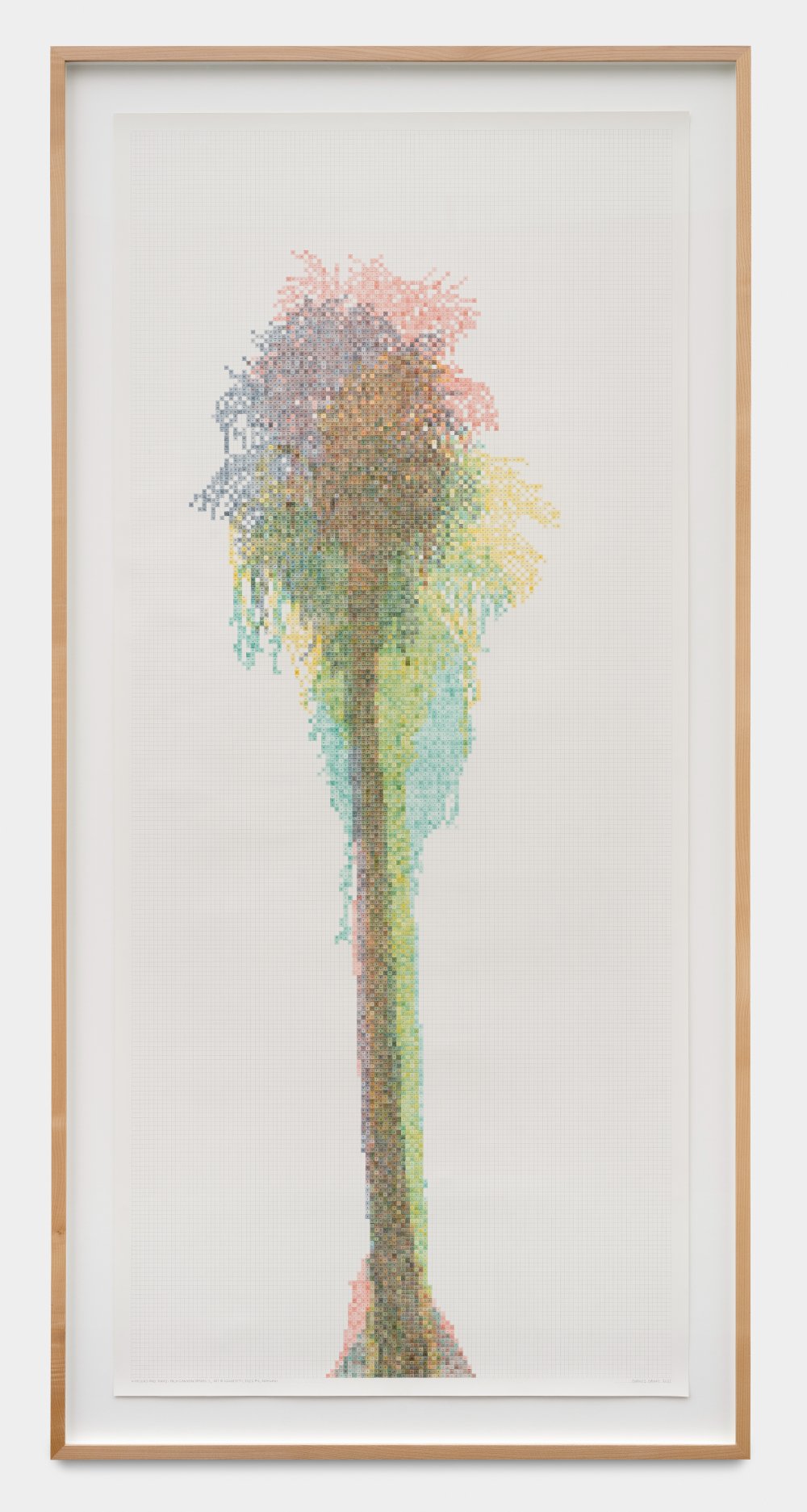 Charles Gaines, Numbers and Trees: Palm Canyon Series 7, Set 8 (quartet), Tree #4, Nomlaki, 2022