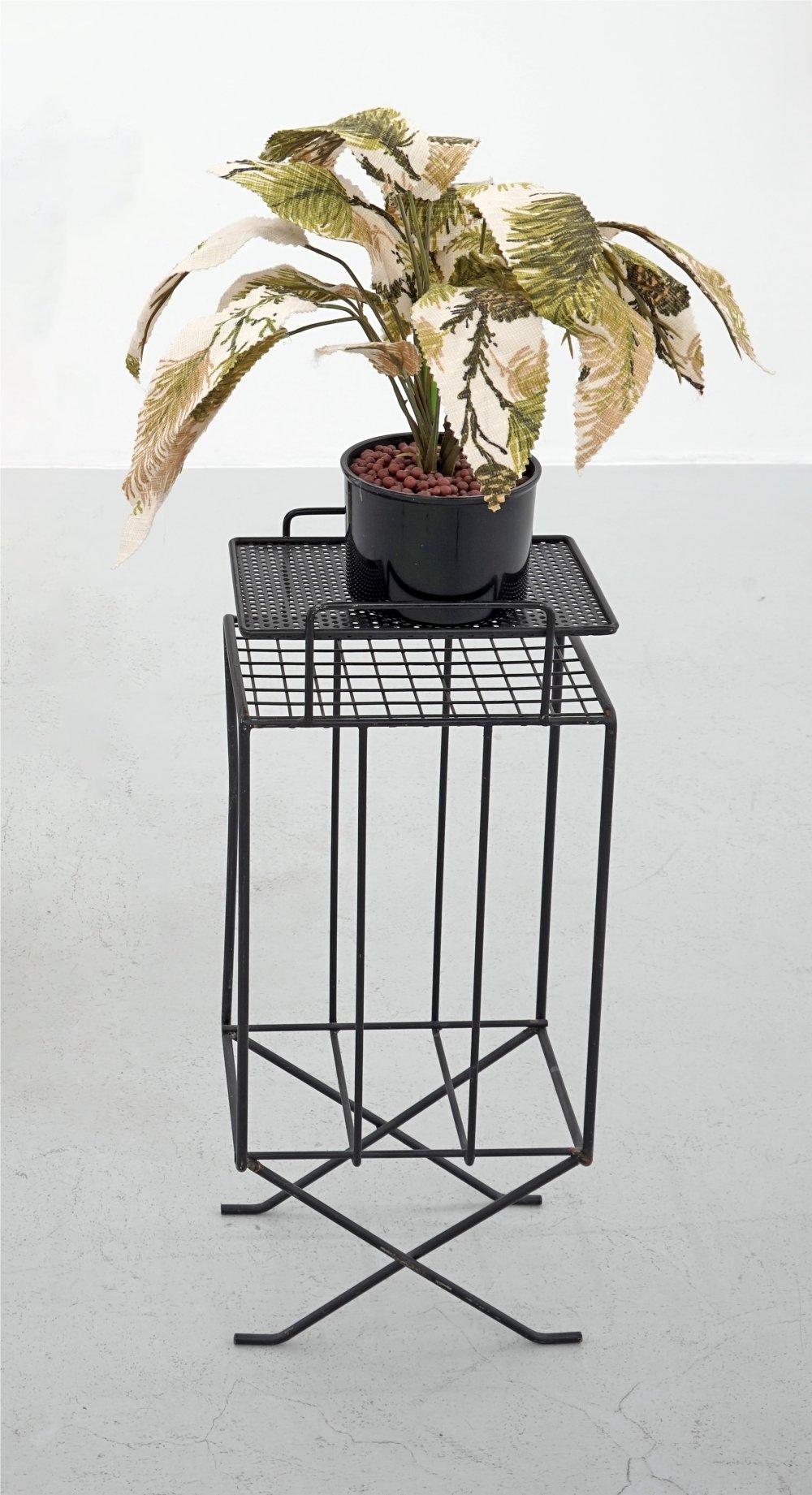 Klodin Erb, Plant’s Life, 1999