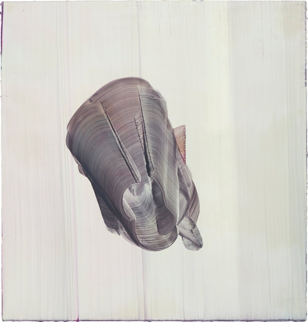 Markus Saile, Untitled, 2022