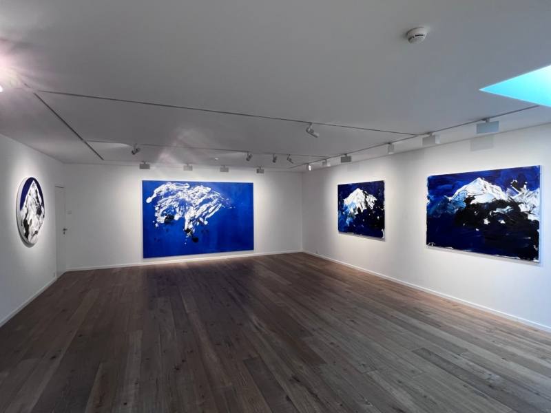 Image for Herbert Brandl: Mountain High, at Patricia Low Contemporary