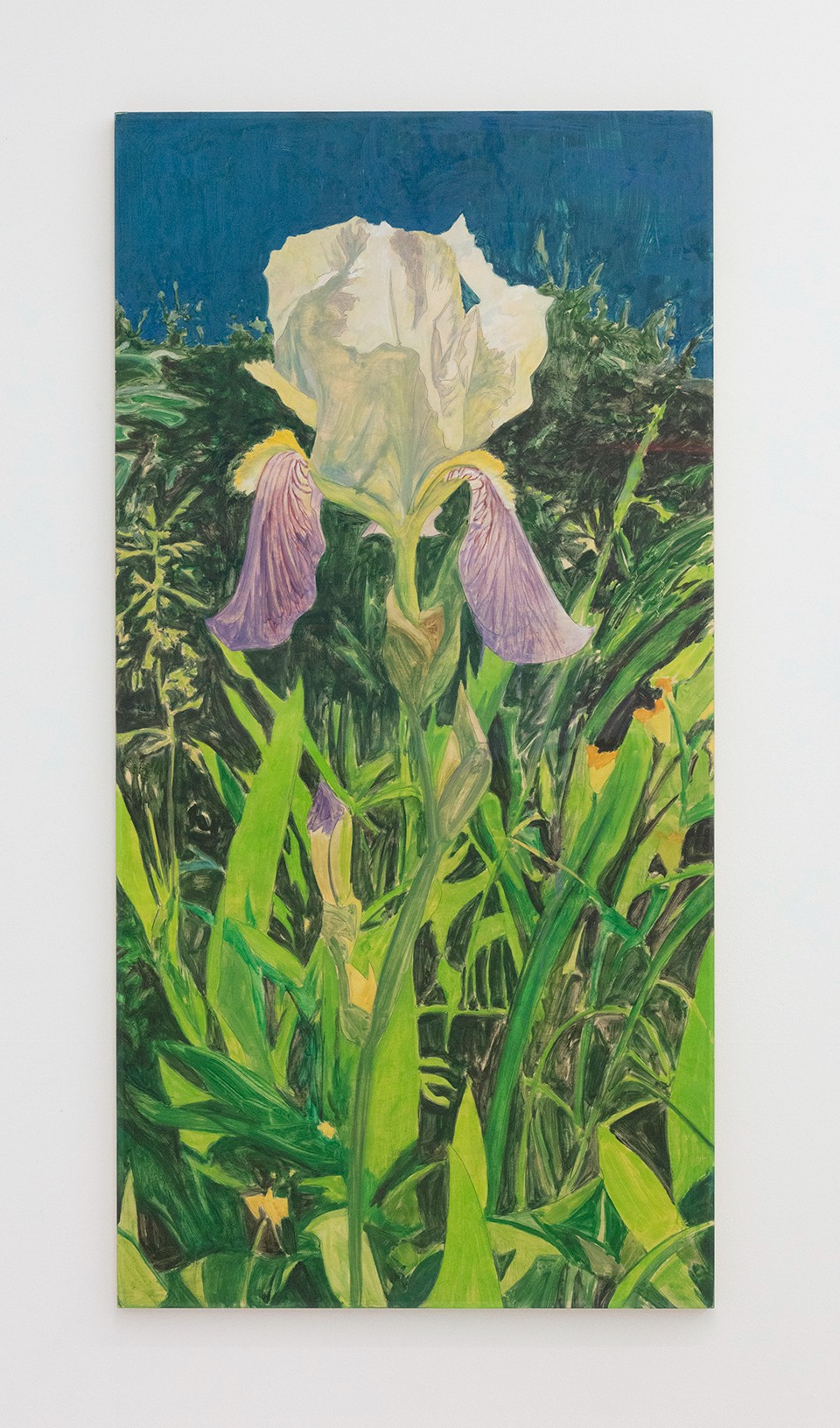 Shara's Iris, 2021