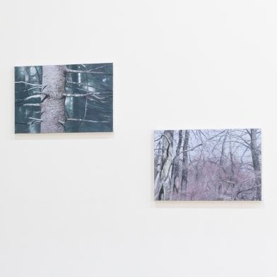 Galleri Magnus Karlsson