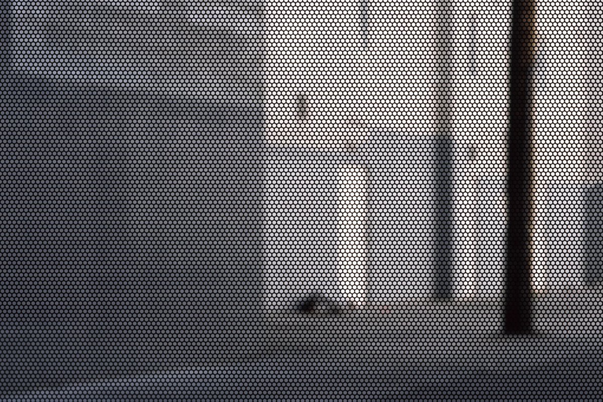 Anthony Hernandez, Screened Pictures X #124, 2021