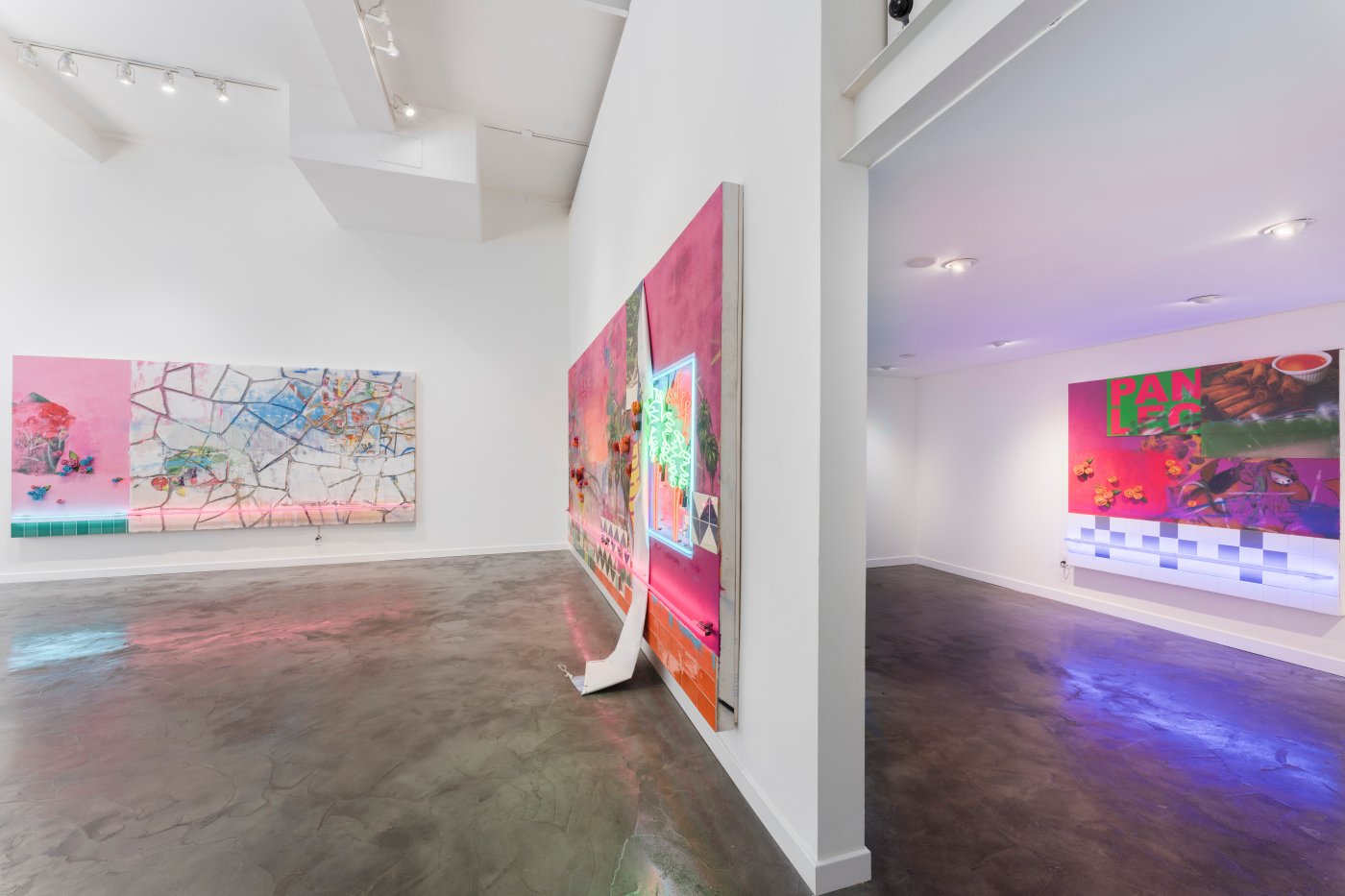 Installation image for Patrick Martinez: Promised Land, at Charlie James Gallery