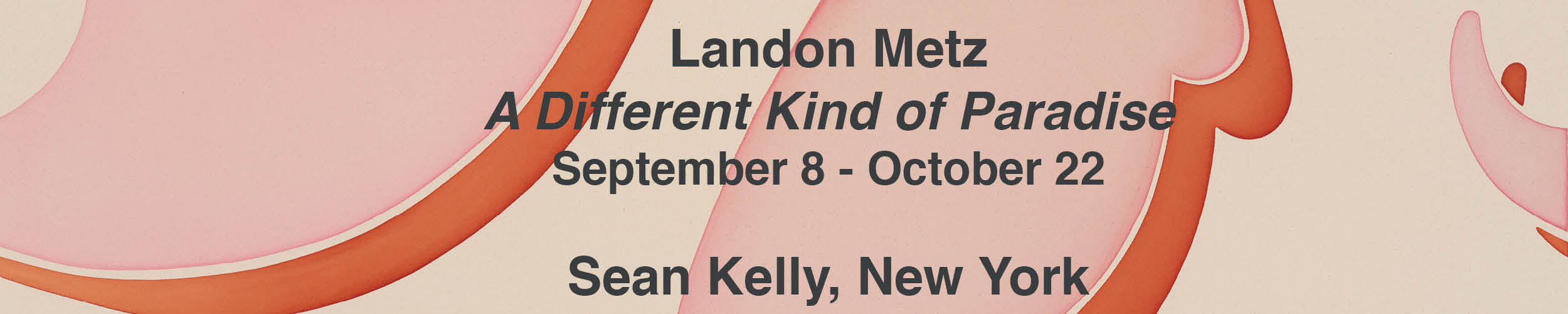 Landon Metz @ Sean Kelly, New York