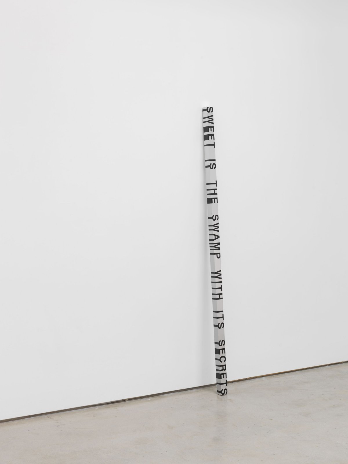Roni Horn, Key and Cue, No. 1740 (SWEET IS THE SWAMP WITH ITS SECRETS), 1994/2007