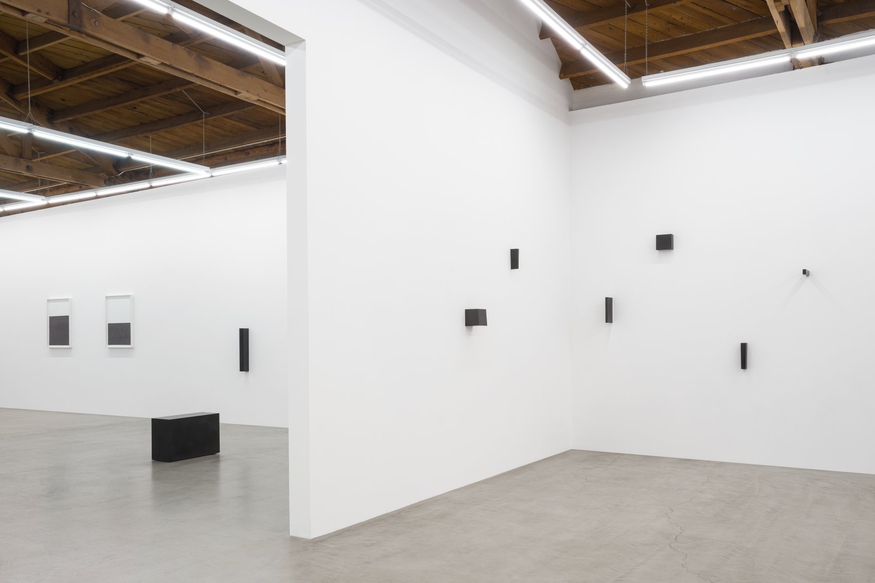 Image for Susan York: Distilling Carbon, at parrasch heijnen