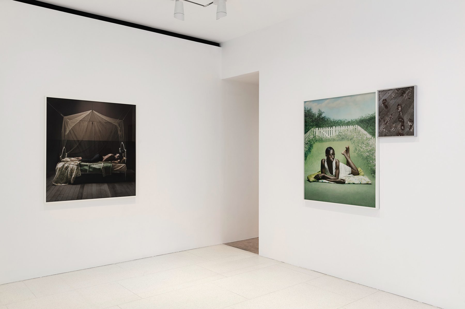 Image for Tyler Mitchell: Chrysalis, at Gagosian Davies St