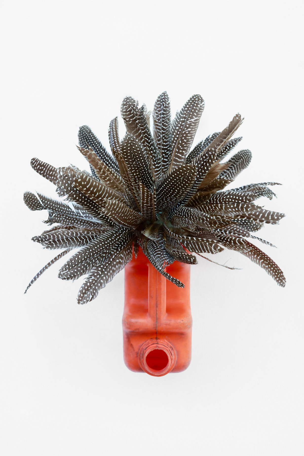 Romuald Hazoumè, Pintade, 2022