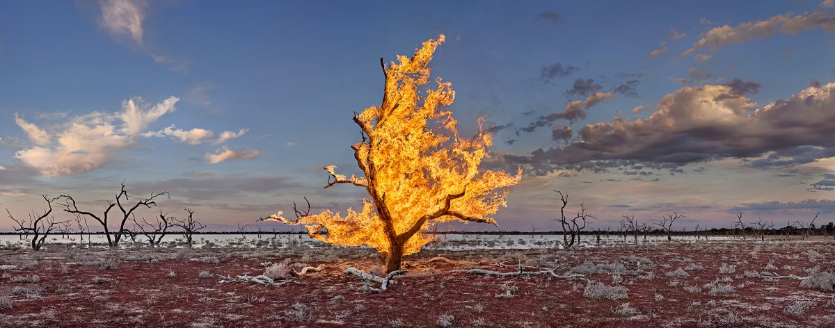 Murray Fredericks, Blaze #16, Packers Lake Great Darling Anabranch, 2022