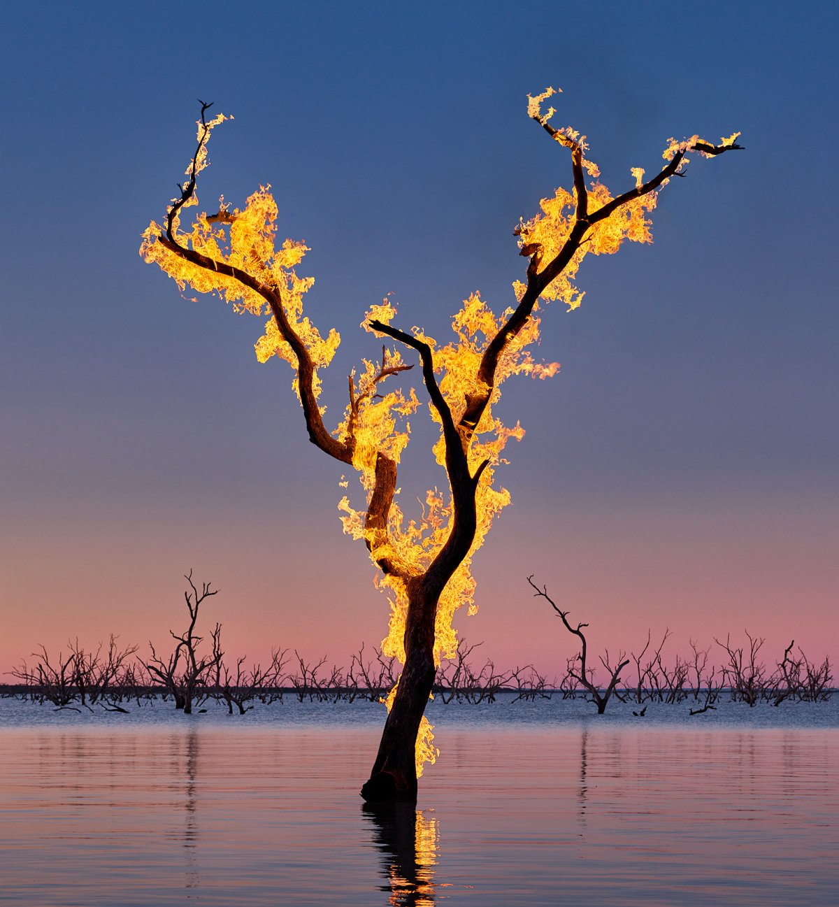 Murray Fredericks, Blaze #17, Lake Pamamaroo, Menindee, 2022