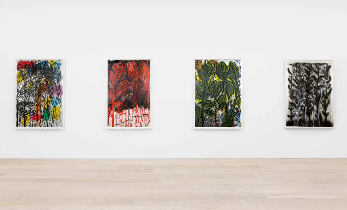 Jim Dine Botanical Drawings
