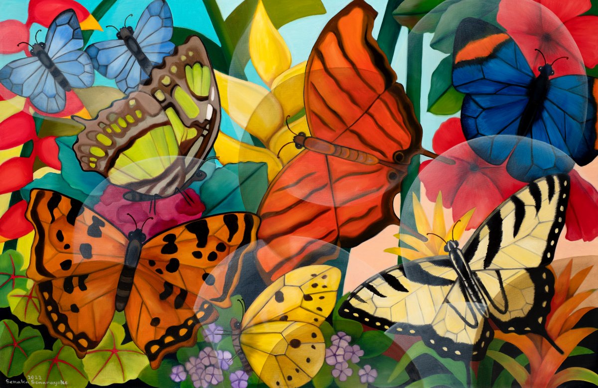 Senaka Senanayake, Butterflies, 2022