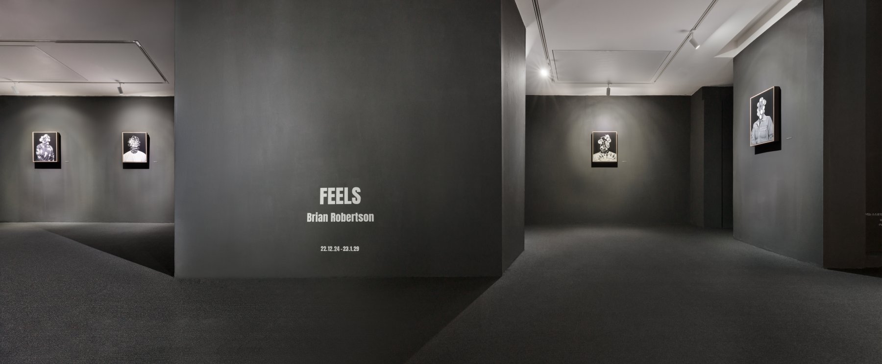 Image for Brian Robertson: FEELS, at Everyday Mooonday